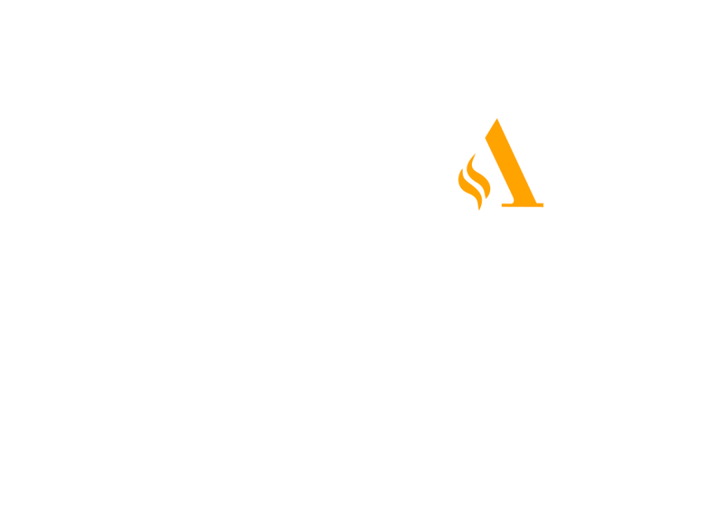 ALP-20-Year-Anniversary-Logo_rev Ancillare